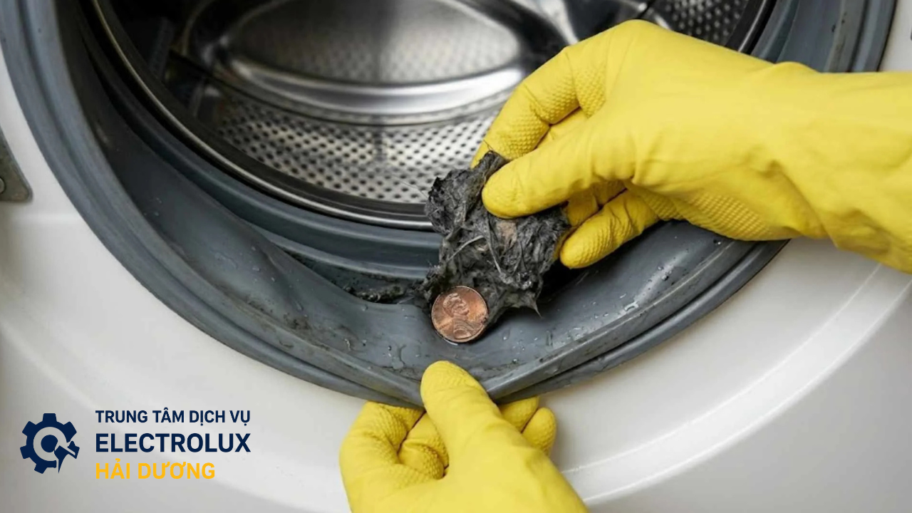 Cặn bẩn gồm các lịt,đồng xu,tóc bám lại ở mép gioăng máy giặt ?
