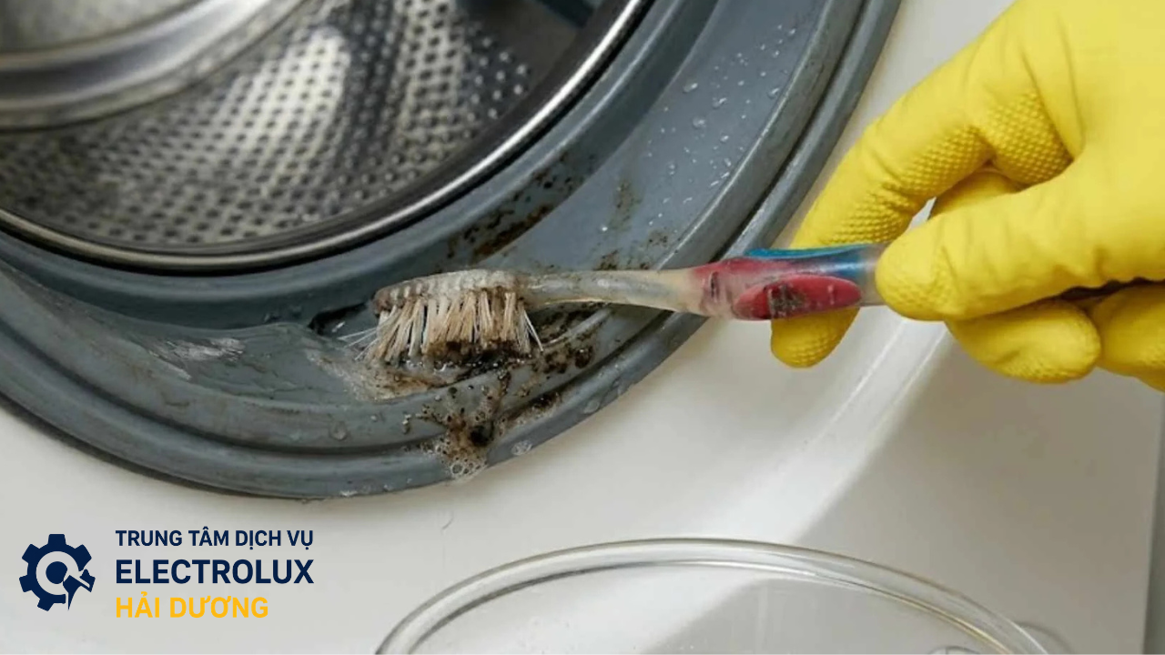 Cách vệ sinh gioăng máy giặt Electrolux ?